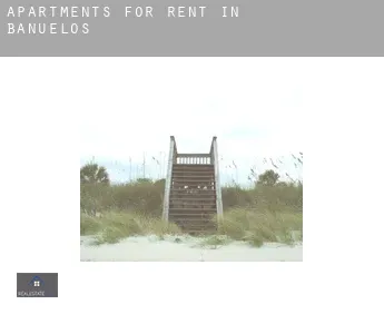 Apartments for rent in  Bañuelos