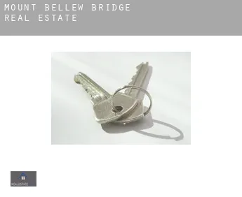 Mount Bellew Bridge  real estate