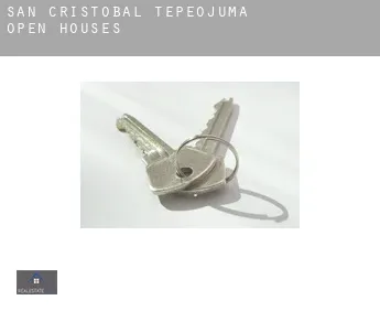 San Cristobal Tepeojuma  open houses
