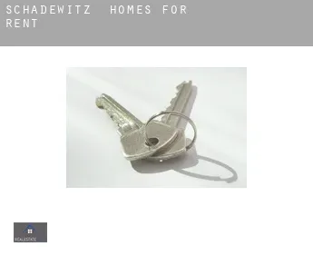 Schadewitz  homes for rent