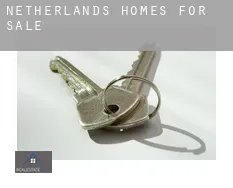 Netherlands  homes for sale