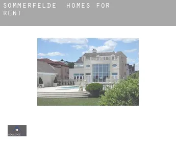 Sommerfelde  homes for rent