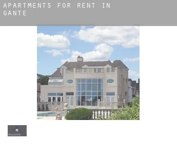 Apartments for rent in  Ghent