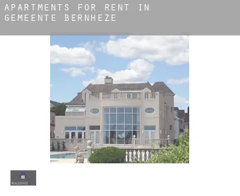 Apartments for rent in Gemeente Bernheze