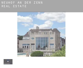 Neuhof an der Zenn  real estate