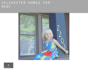 Colchester  homes for rent