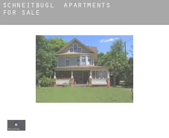 Schneitbügl  apartments for sale