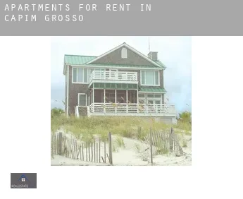 Apartments for rent in  Capim Grosso
