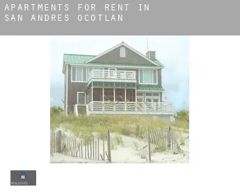 Apartments for rent in  San Andrés Ocotlán