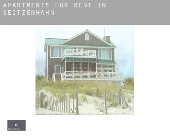 Apartments for rent in  Seitzenhahn