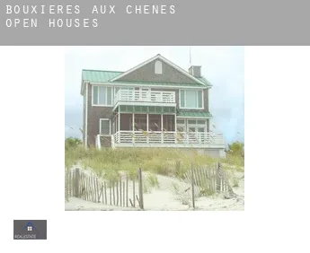 Bouxières-aux-Chênes  open houses