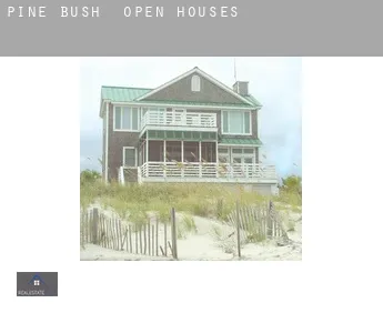 Pine Bush  open houses
