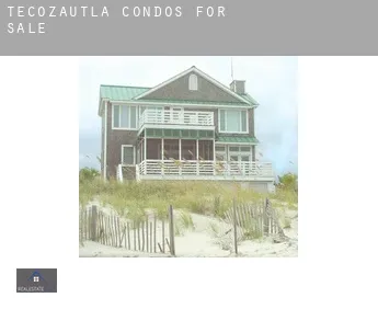Tecozautla  condos for sale