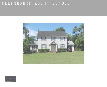 Kleinbobritzsch  condos