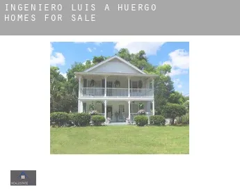 Ingeniero Luis A. Huergo  homes for sale