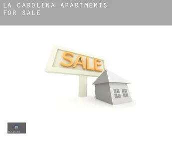 La Carolina  apartments for sale