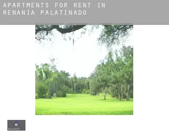 Apartments for rent in  Rhineland-Palatinate