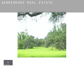 Sarrebourg real estate