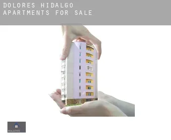 Dolores Hidalgo  apartments for sale