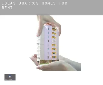 Ibeas de Juarros  homes for rent