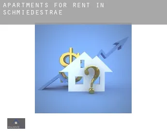 Apartments for rent in  Schmiedestraße