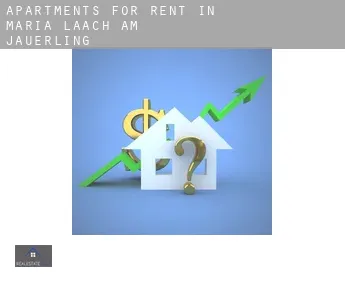Apartments for rent in  Maria Laach am Jauerling