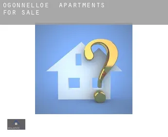 Ogonnelloe apartments for sale