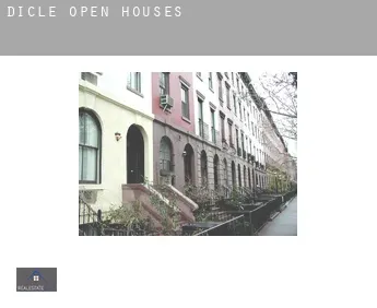 Dicle  open houses