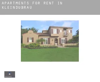 Apartments for rent in  Kleindubrau