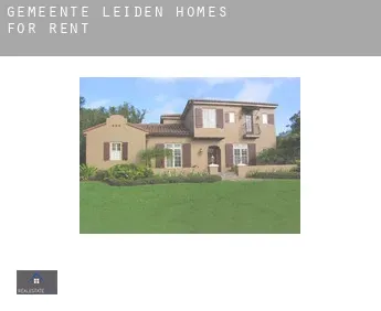 Gemeente Leiden  homes for rent