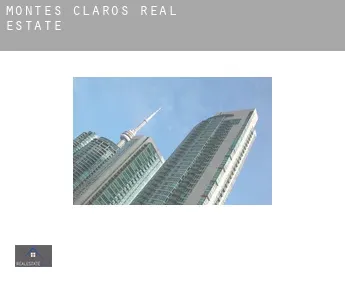 Montes Claros  real estate
