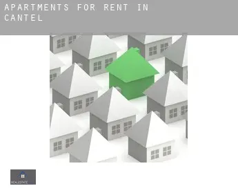 Apartments for rent in  Cantel