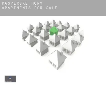 Kašperské Hory  apartments for sale