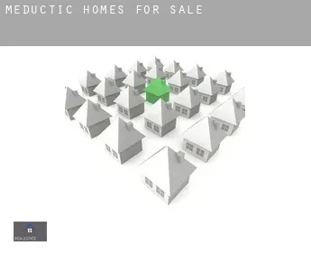 Meductic  homes for sale