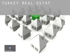 Turkey  real estate