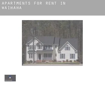 Apartments for rent in  Waihaha