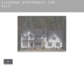 Eleebana  apartments for sale