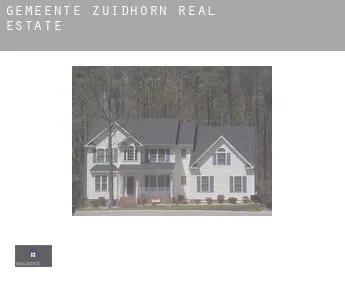 Gemeente Zuidhorn  real estate