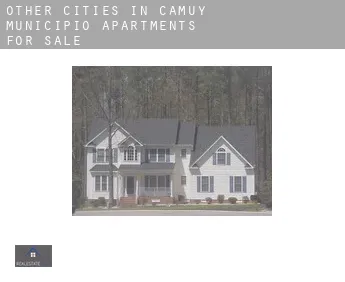 Other cities in Camuy Municipio  apartments for sale