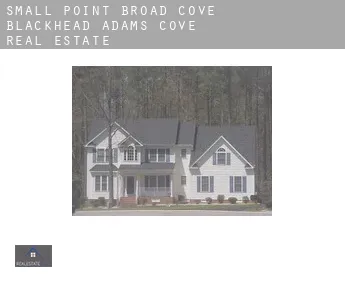 Small Point-Broad Cove-Blackhead-Adams Cove  real estate