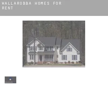 Wallarobba  homes for rent