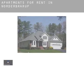 Apartments for rent in  Norderbrarup