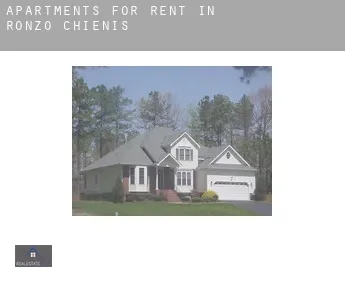 Apartments for rent in  Ronzo-Chienis