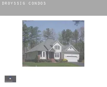 Droyßig  condos