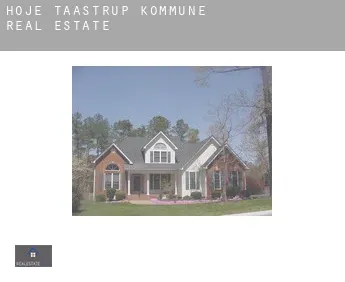Høje-Taastrup Kommune real estate