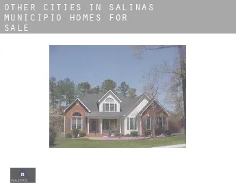 Other cities in Salinas Municipio  homes for sale