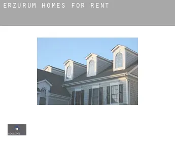 Erzurum  homes for rent