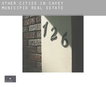 Other cities in Cayey Municipio  real estate