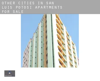 Other cities in San Luis Potosi apartments for sale