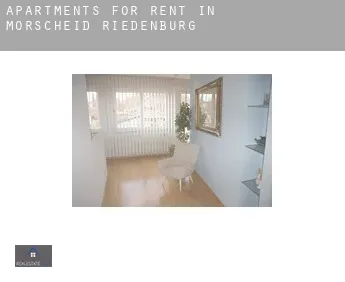 Apartments for rent in  Morscheid-Riedenburg
